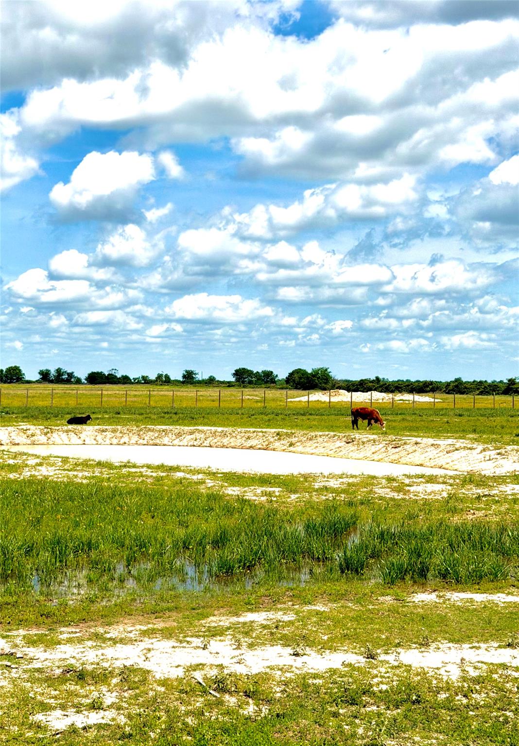 Tbd Tract 43 Mcdonald Road Eagle Lake TX 77434