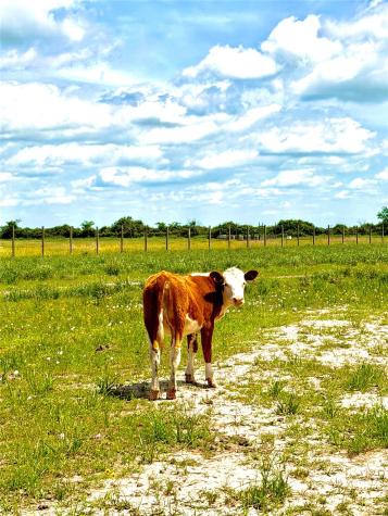 Tbd Tract 43 Mcdonald Road Eagle Lake TX 77434