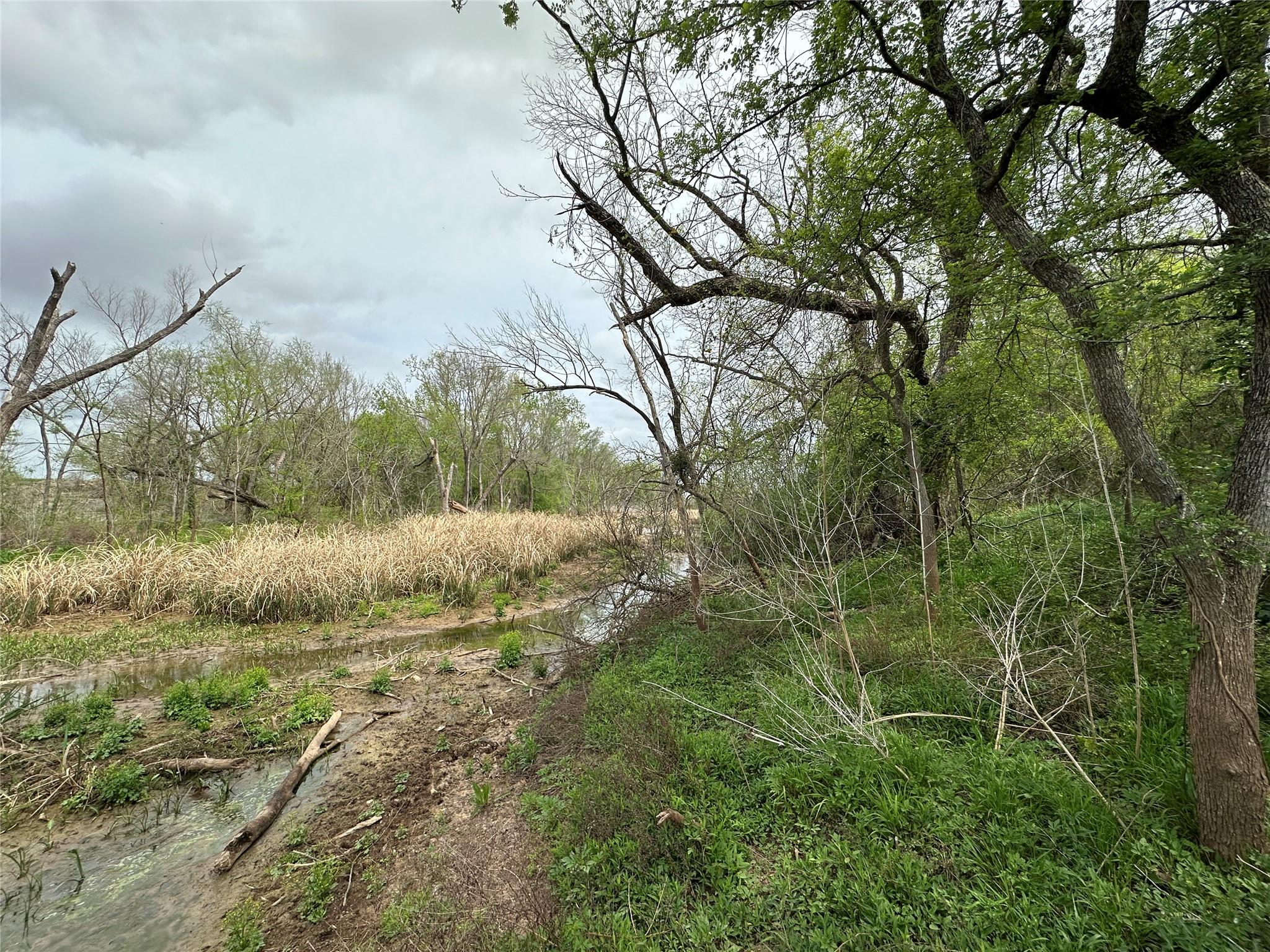 909 Fm 712 Marlin TX 76661