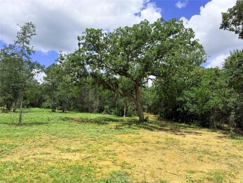 141 Grassyville Road Paige TX 78659