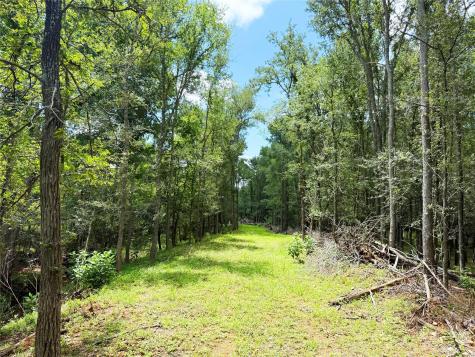 141 Grassyville Road Paige TX 78659
