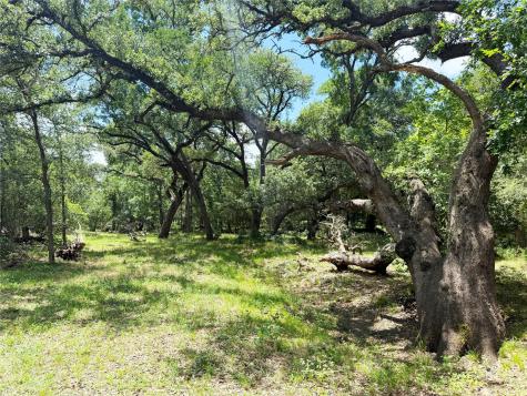 141 Grassyville Road Paige TX 78659