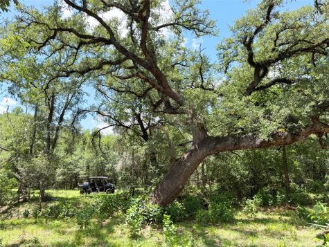 141 Grassyville Road Paige TX 78659