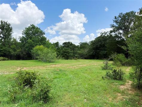 141 Grassyville Road Paige TX 78659