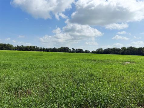 141 Grassyville Road Paige TX 78659