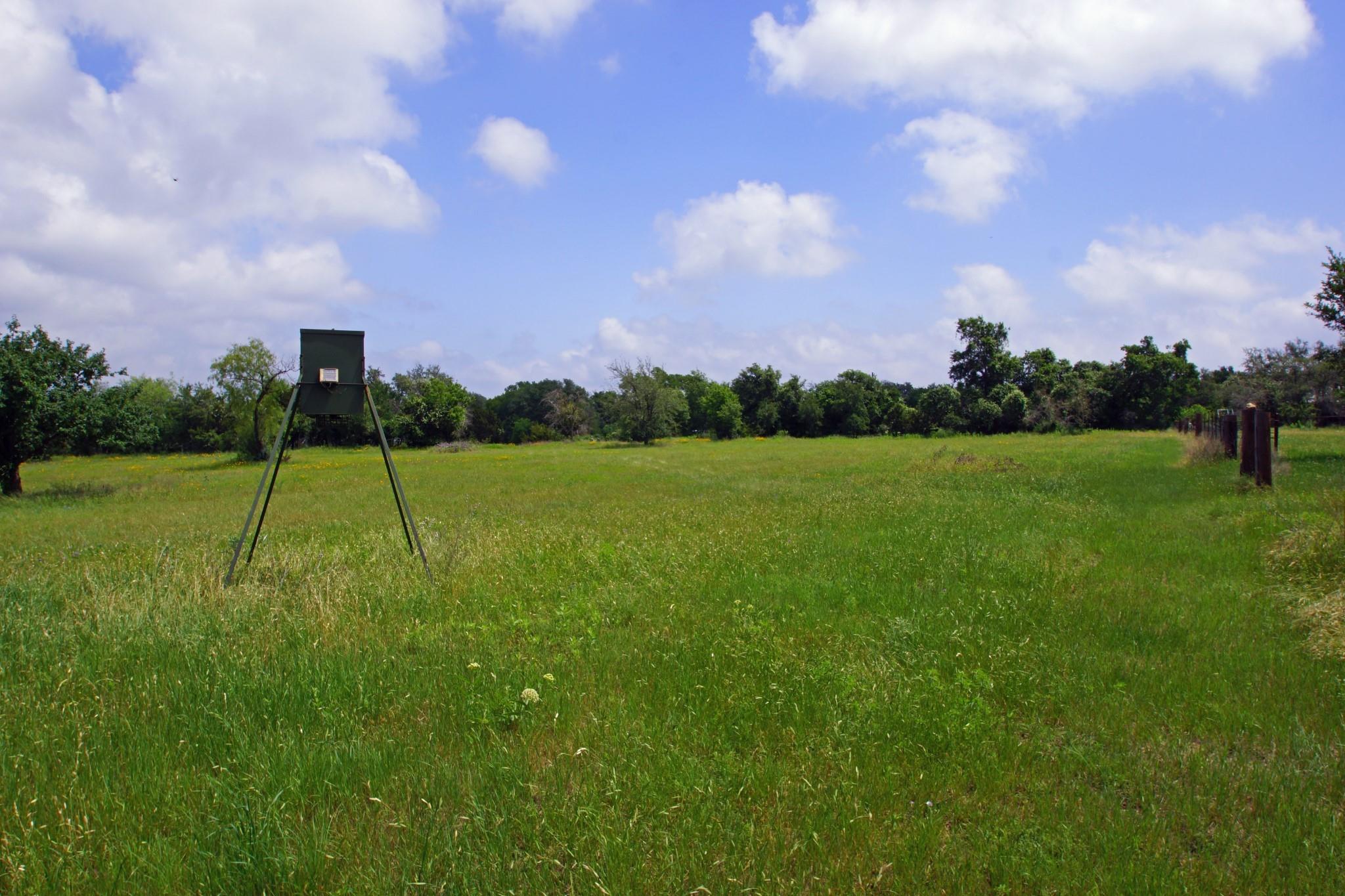244 Apache Springs Road Briggs TX 78608