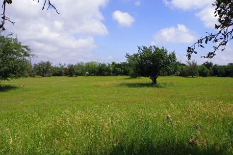 244 Apache Springs Road Briggs TX 78608