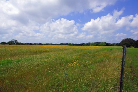 244 Apache Springs Road Briggs TX 78608