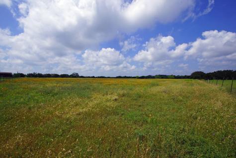 244 Apache Springs Road Briggs TX 78608