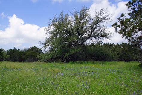 244 Apache Springs Road Briggs TX 78608