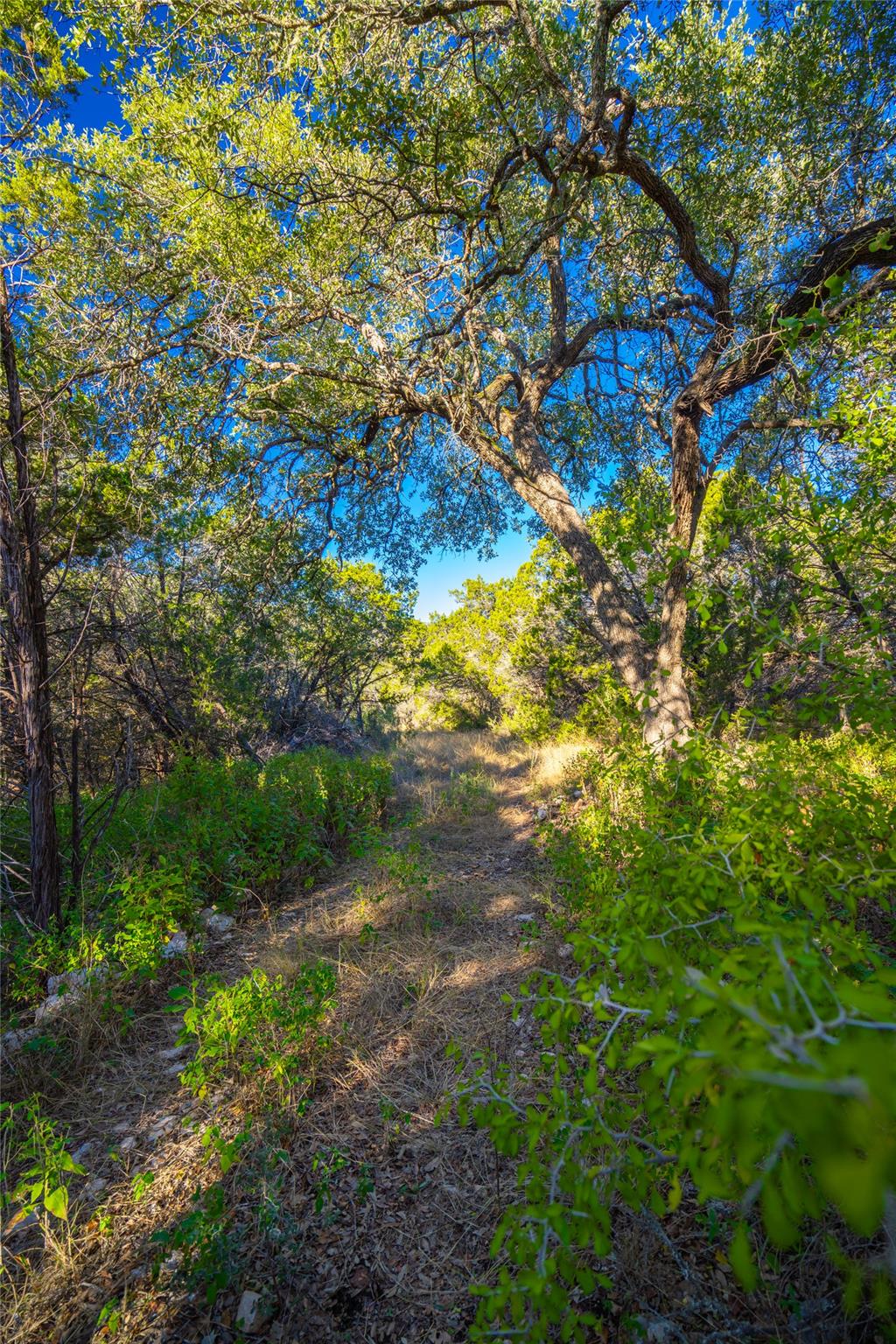 00 W Mccarty Lane San Marcos TX 78666