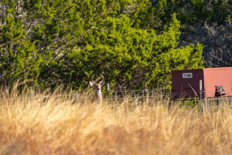 00 W Mccarty Lane San Marcos TX 78666