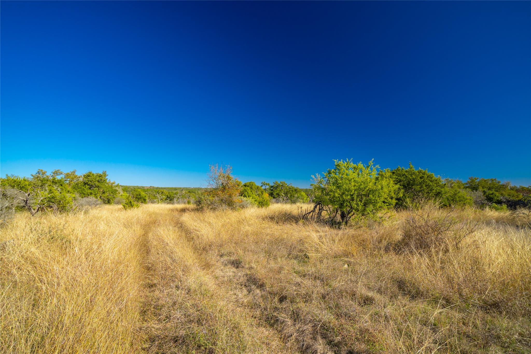 00 W Mccarty Lane San Marcos TX 78666