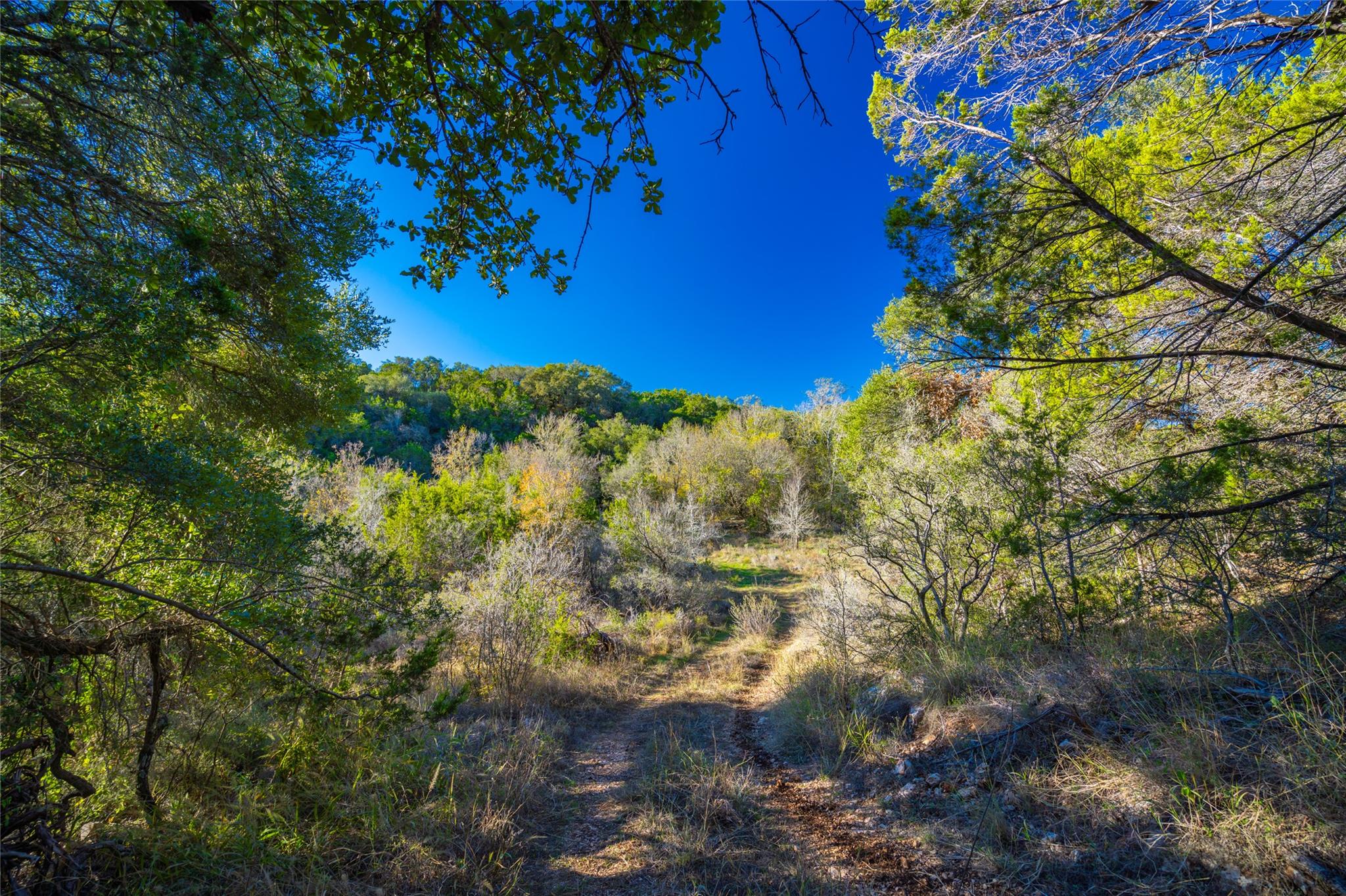00 W Mccarty Lane San Marcos TX 78666