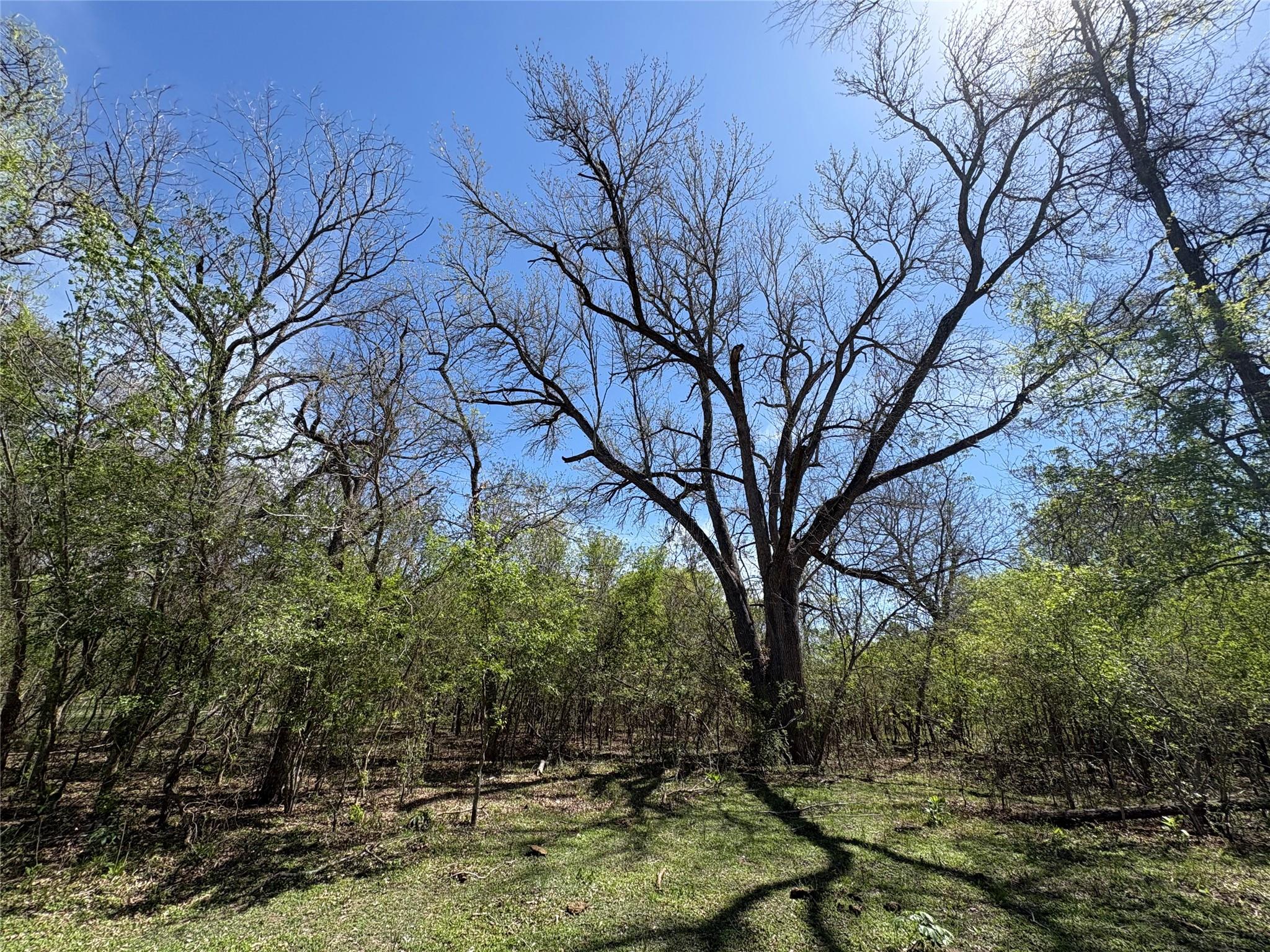 1285 Burdette Wells Road Lockhart TX 78644