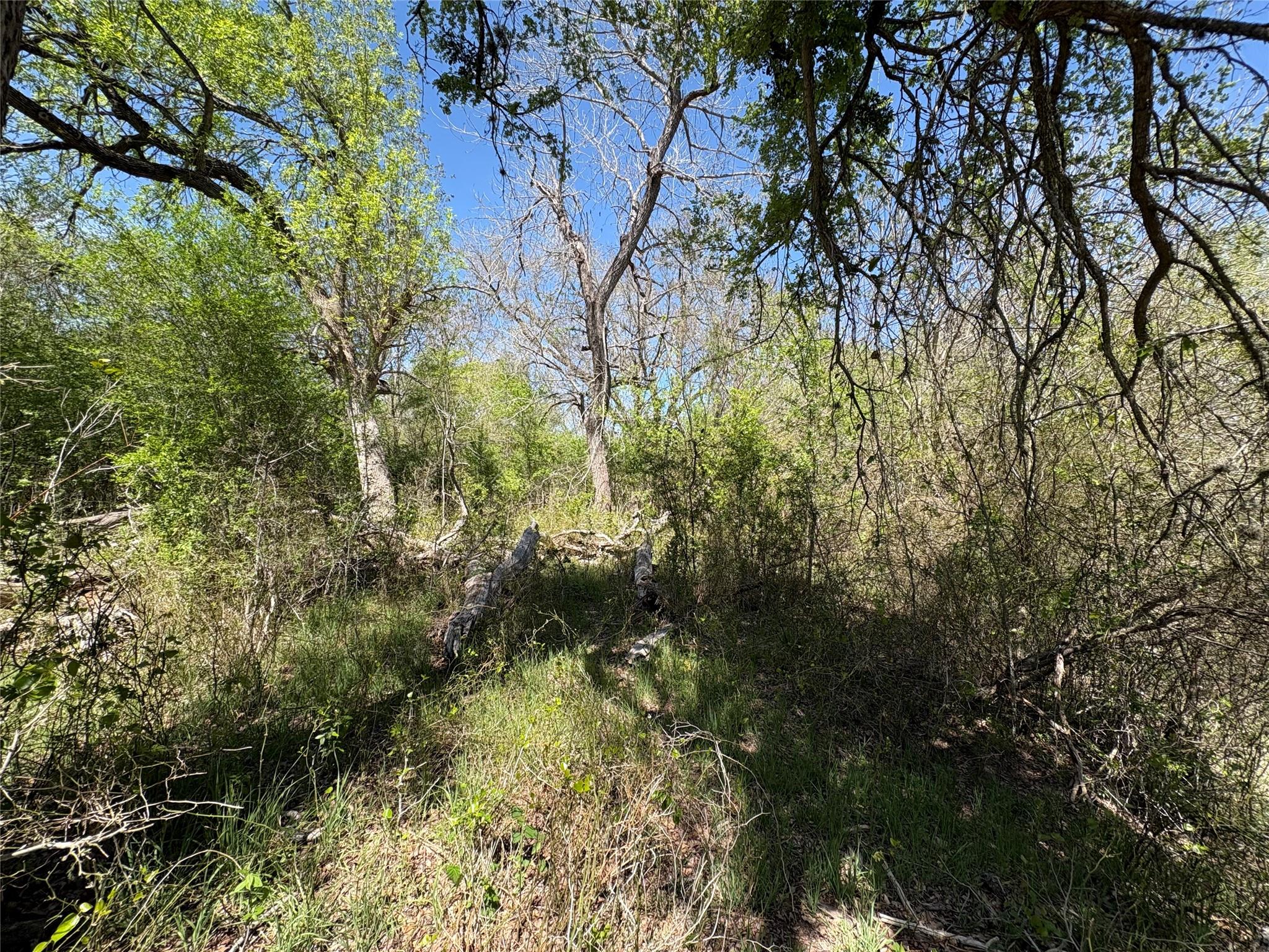 1285 Burdette Wells Road Lockhart TX 78644