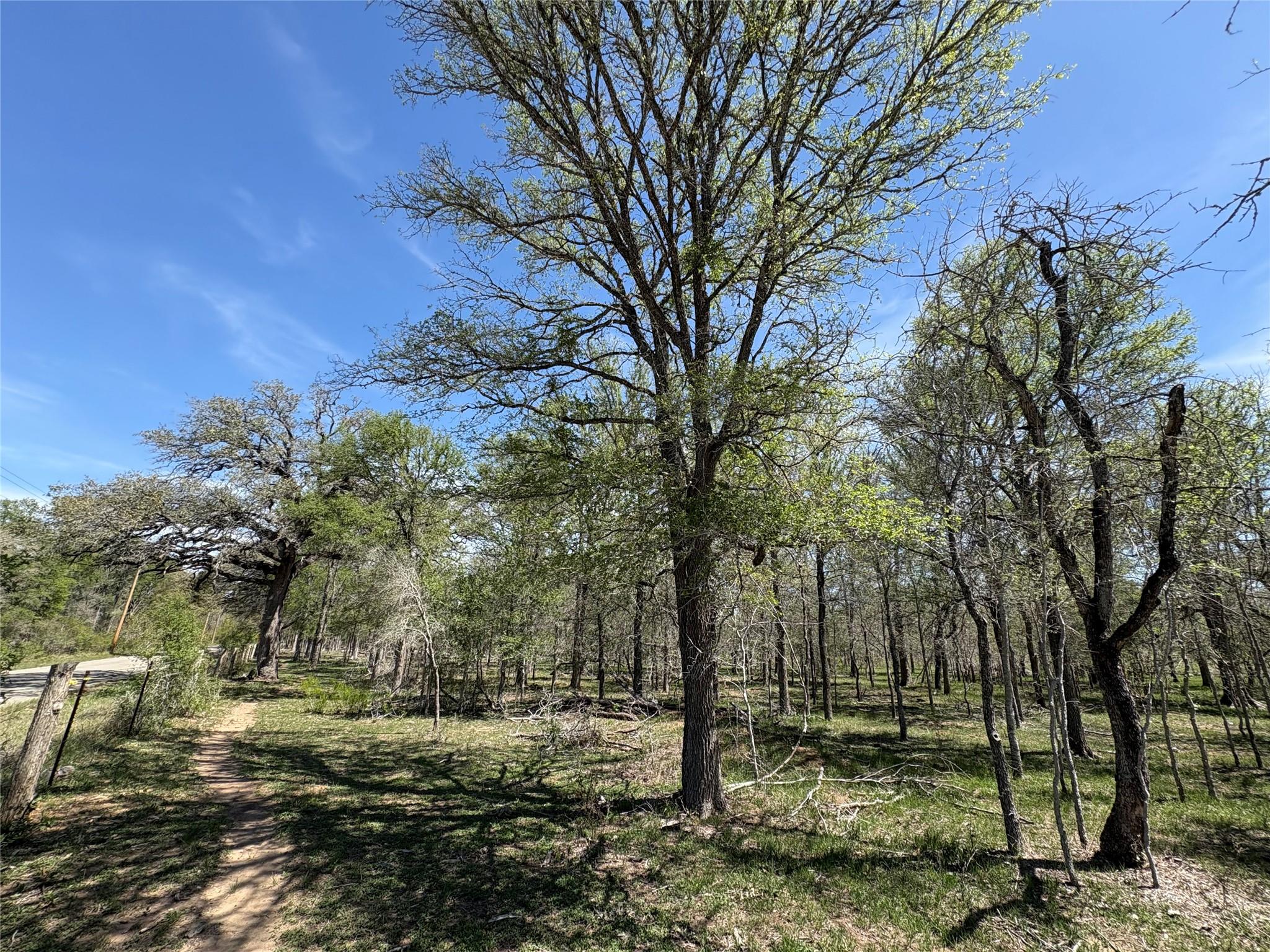 1285 Burdette Wells Road Lockhart TX 78644