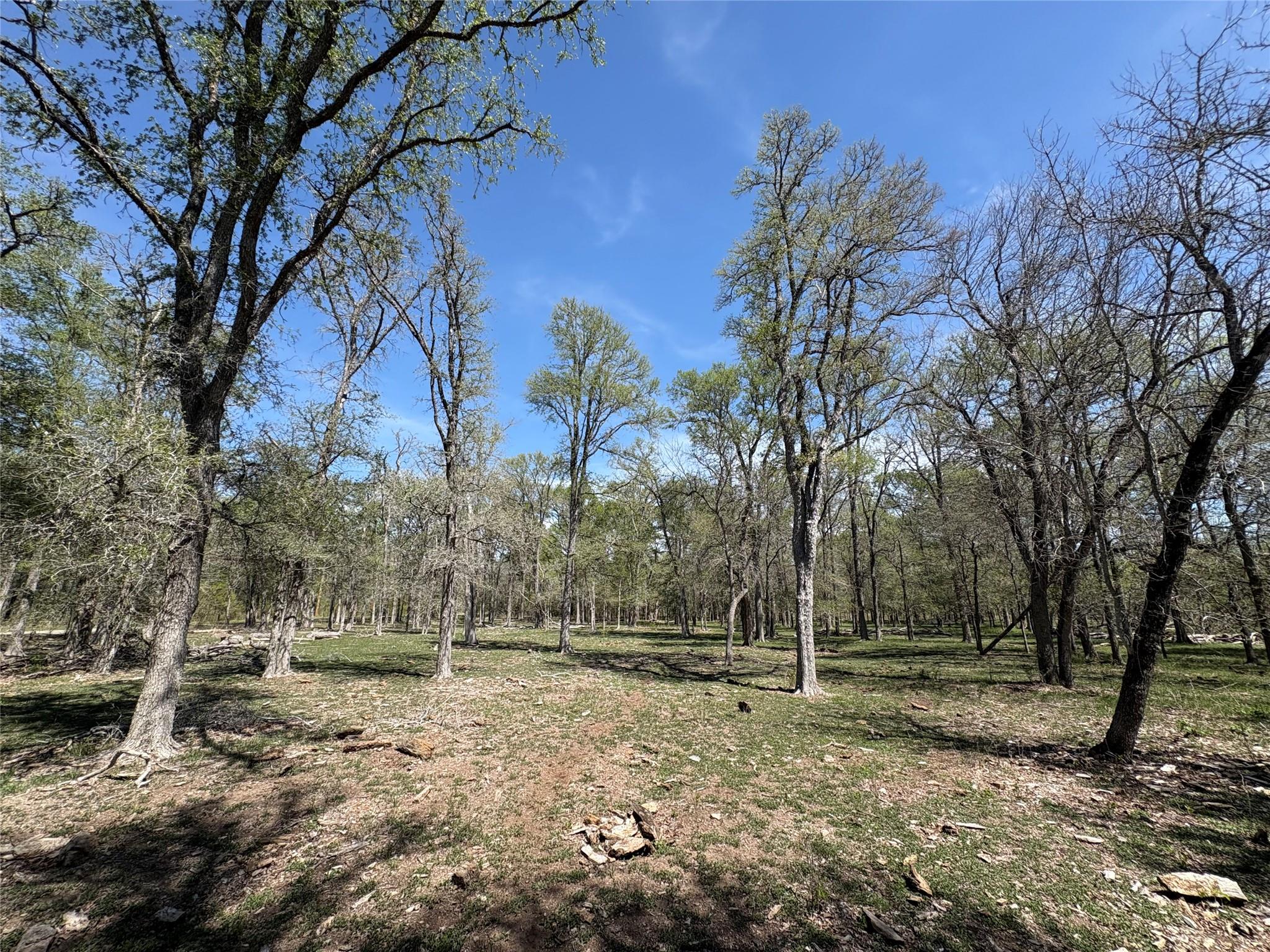 1285 Burdette Wells Road Lockhart TX 78644