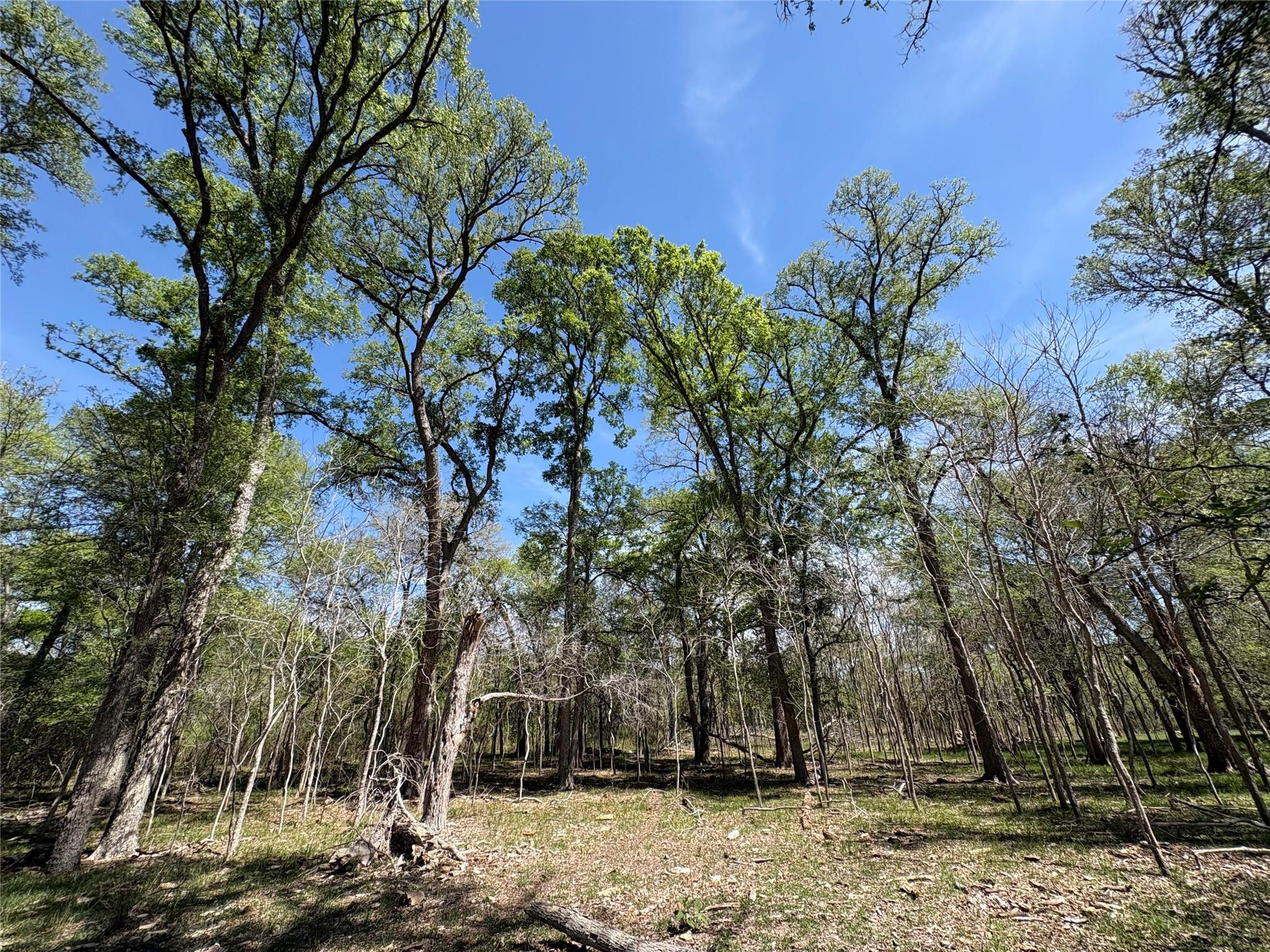 1285 Burdette Wells Road Lockhart TX 78644
