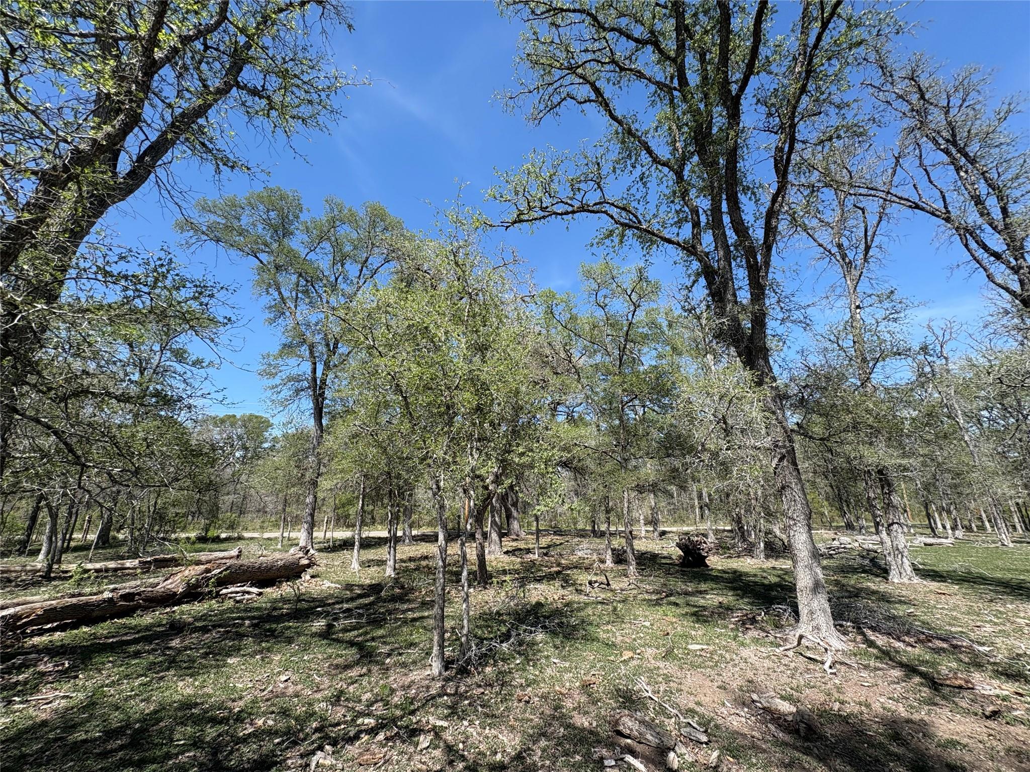 1285 Burdette Wells Road Lockhart TX 78644