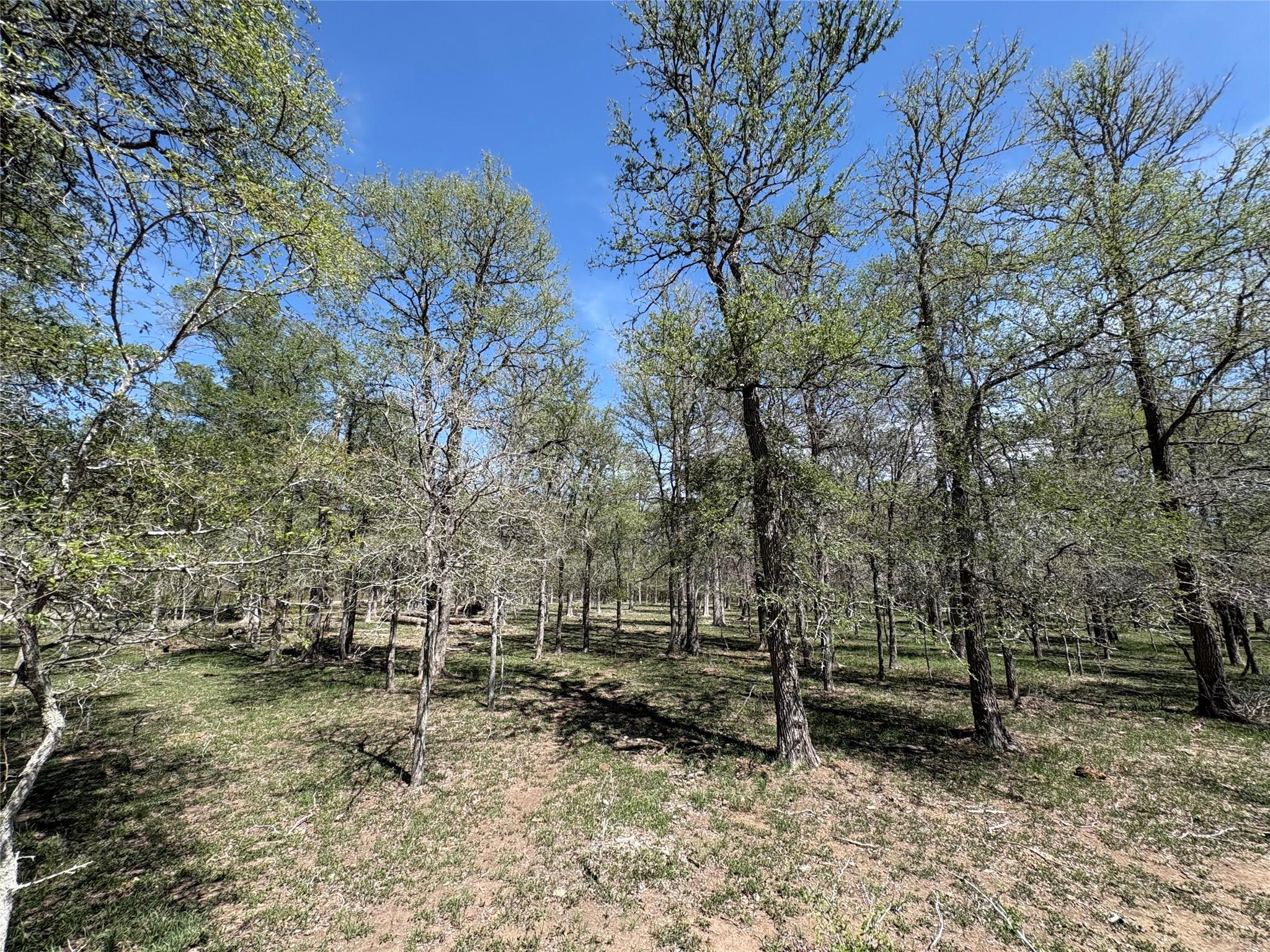 1285 Burdette Wells Road Lockhart TX 78644