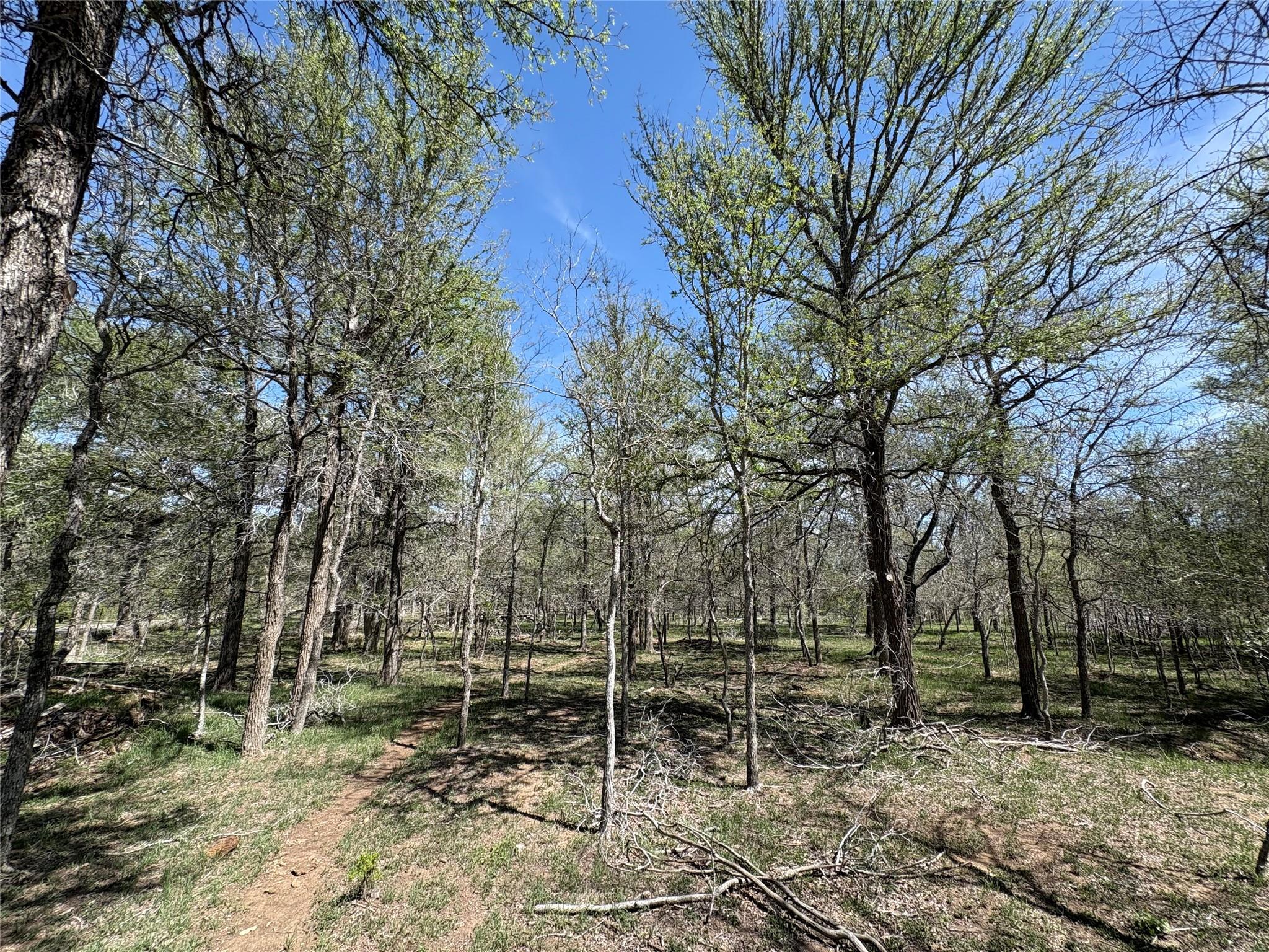 1285 Burdette Wells Road Lockhart TX 78644