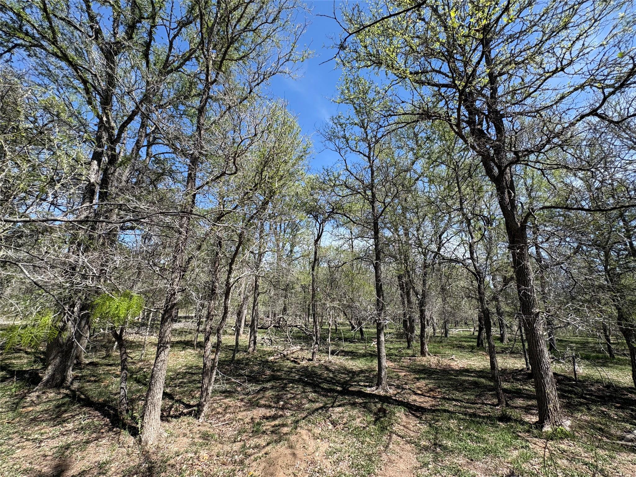 1285 Burdette Wells Road Lockhart TX 78644