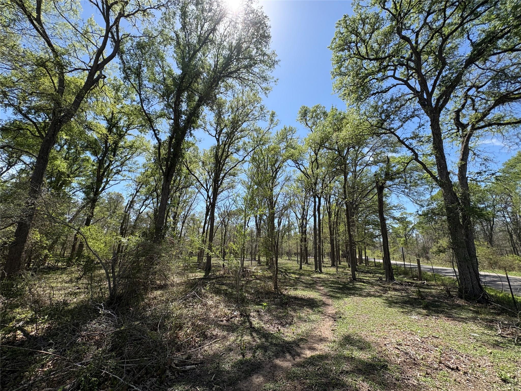 1285 Burdette Wells Road Lockhart TX 78644