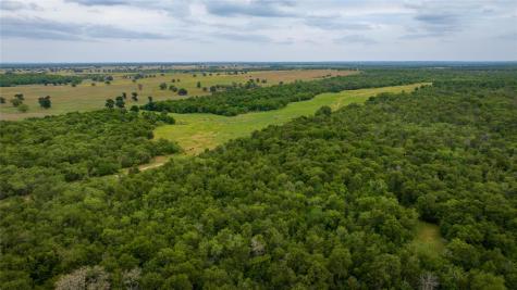 TBD(1) Walter Hoffman Road Cedar Creek TX 78612