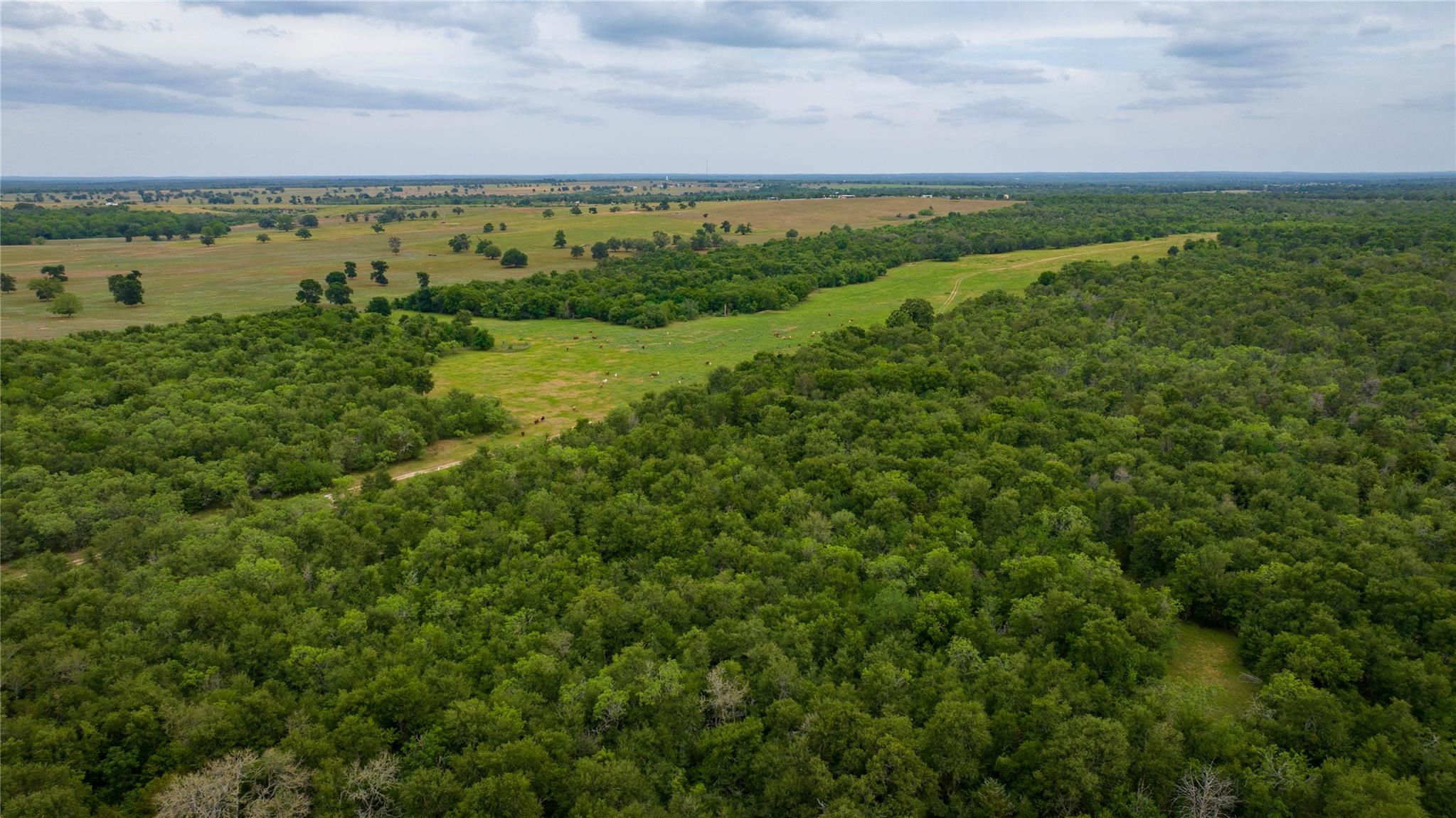 TBD(1) Walter Hoffman Road Cedar Creek TX 78612