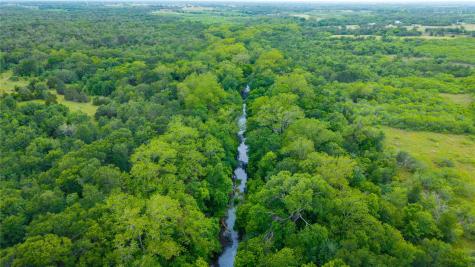 TBD(1) Walter Hoffman Road Cedar Creek TX 78612