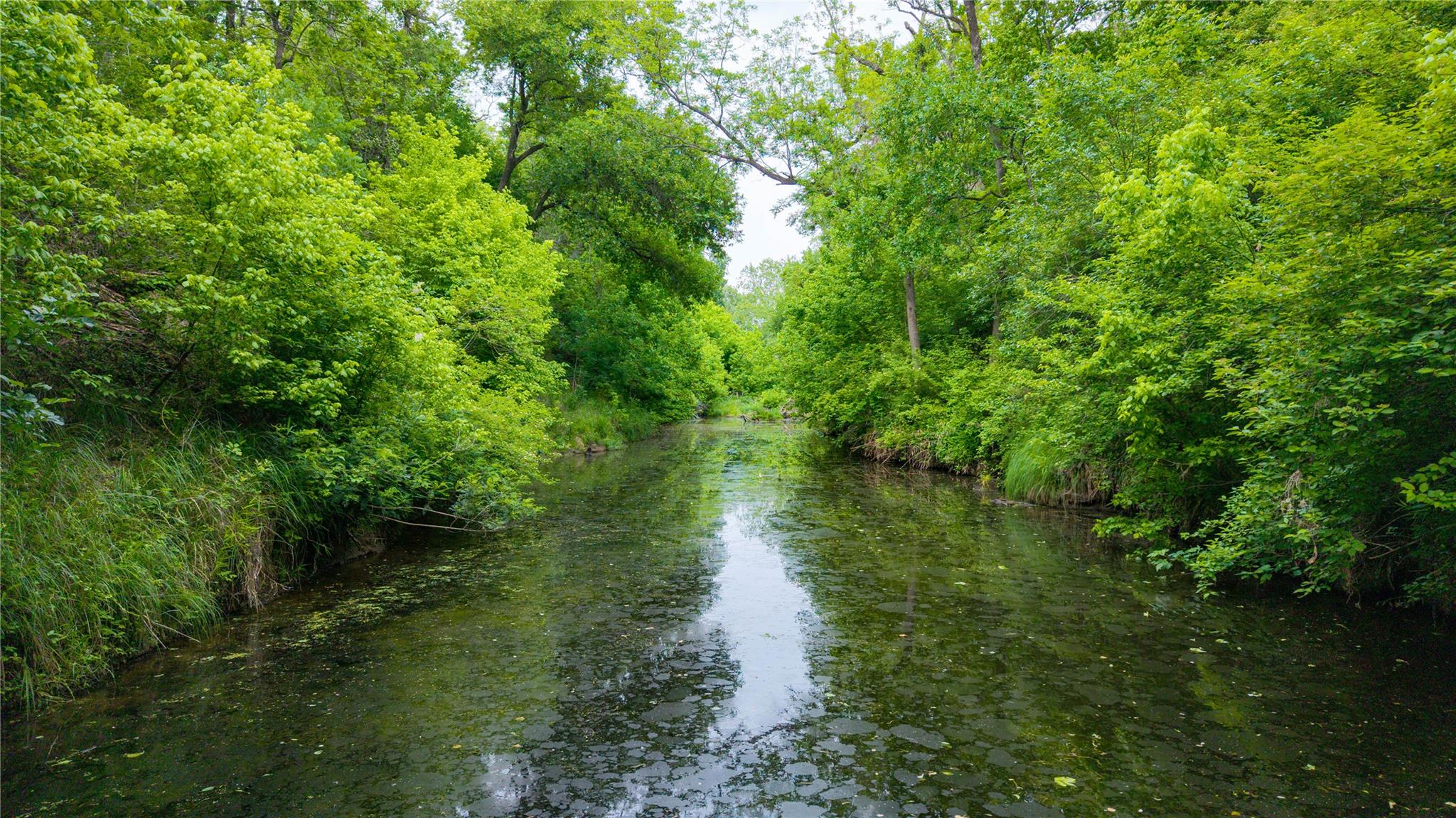 TBD(1) Walter Hoffman Road Cedar Creek TX 78612