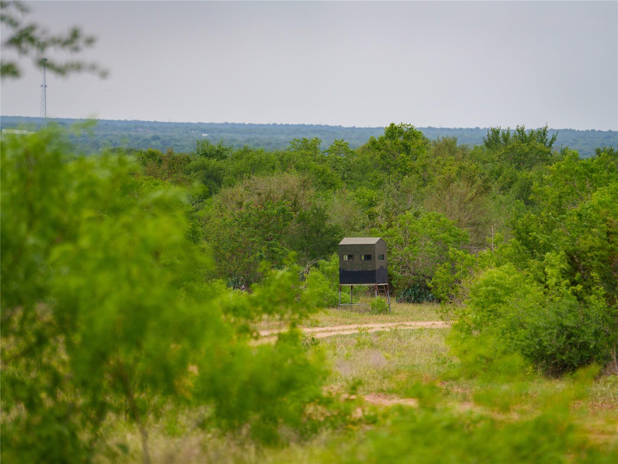 TBD(1) Walter Hoffman Road Cedar Creek TX 78612