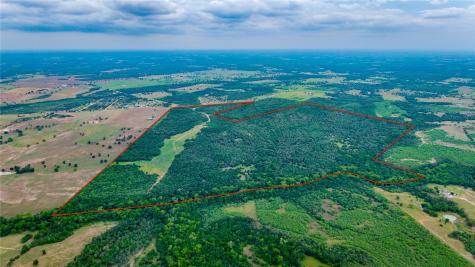 TBD(1) Walter Hoffman Road Cedar Creek TX 78612