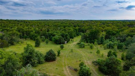TBD(1) Walter Hoffman Road Cedar Creek TX 78612