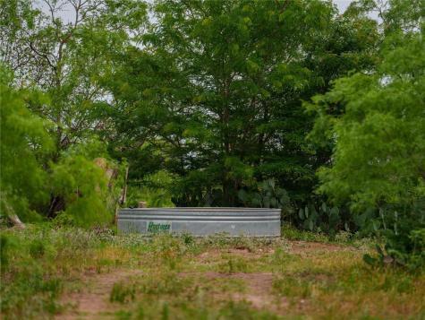TBD(1) Walter Hoffman Road Cedar Creek TX 78612