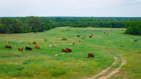 TBD(1) Walter Hoffman Road Cedar Creek TX 78612