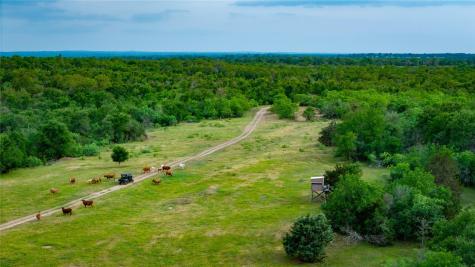 TBD(1) Walter Hoffman Road Cedar Creek TX 78612