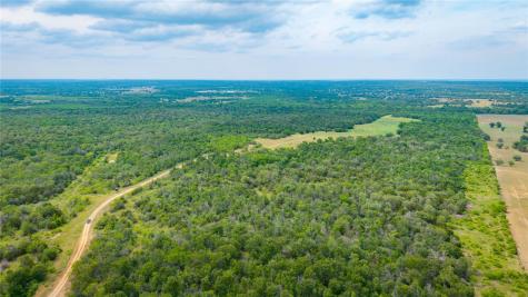 TBD(1) Walter Hoffman Road Cedar Creek TX 78612