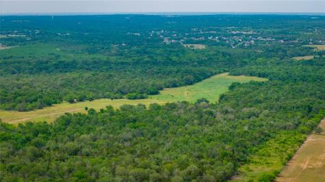 TBD(1) Walter Hoffman Road Cedar Creek TX 78612