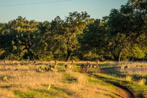 Tbd Fm-2843 Salado TX 76571