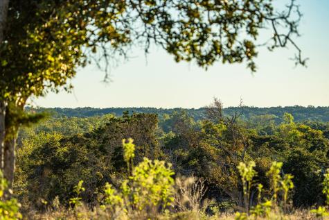 Tbd Fm-2843 Salado TX 76571
