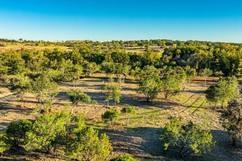 Tbd Fm-2843 Salado TX 76571
