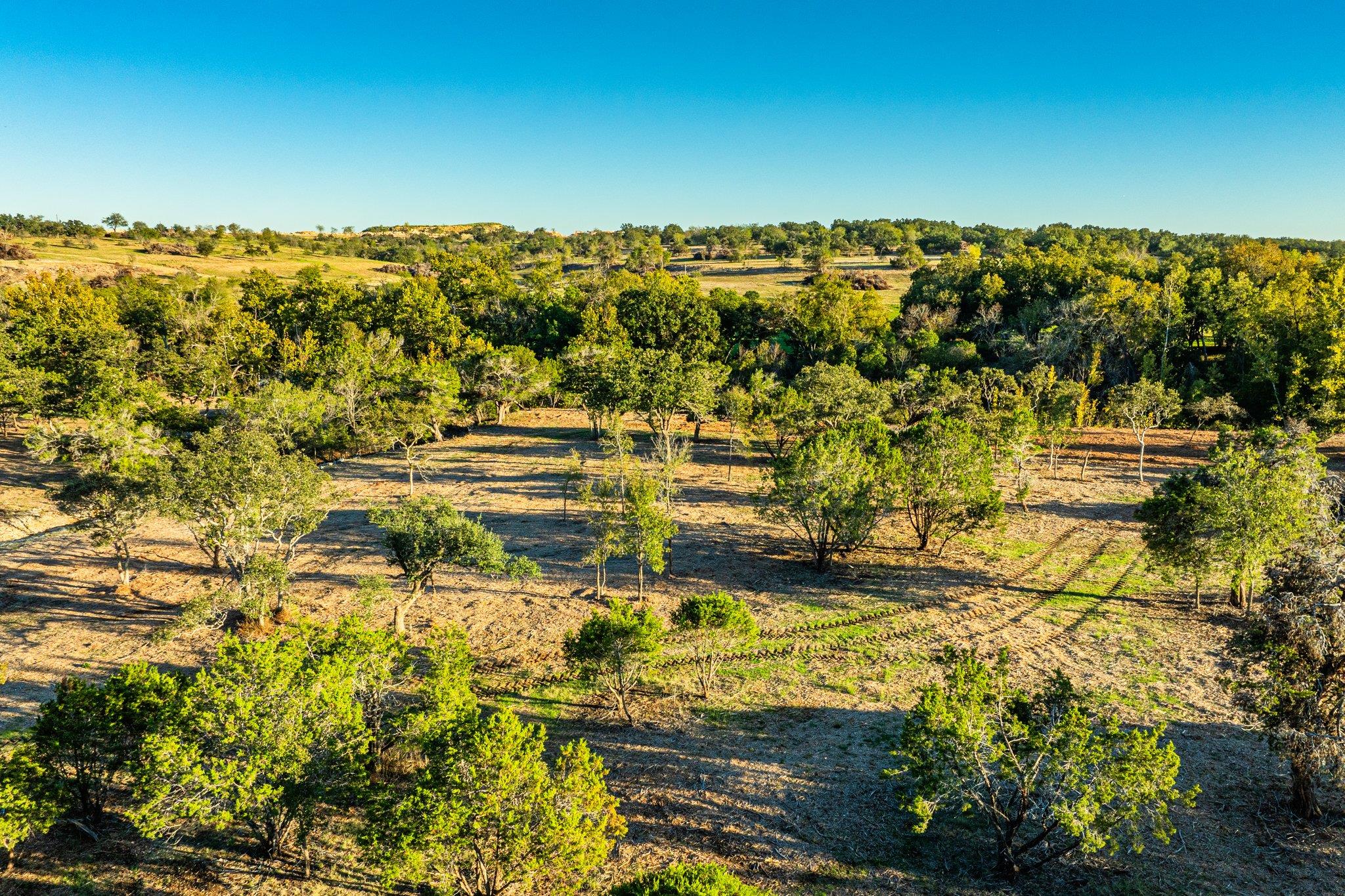 Tbd Fm-2843 Salado TX 76571