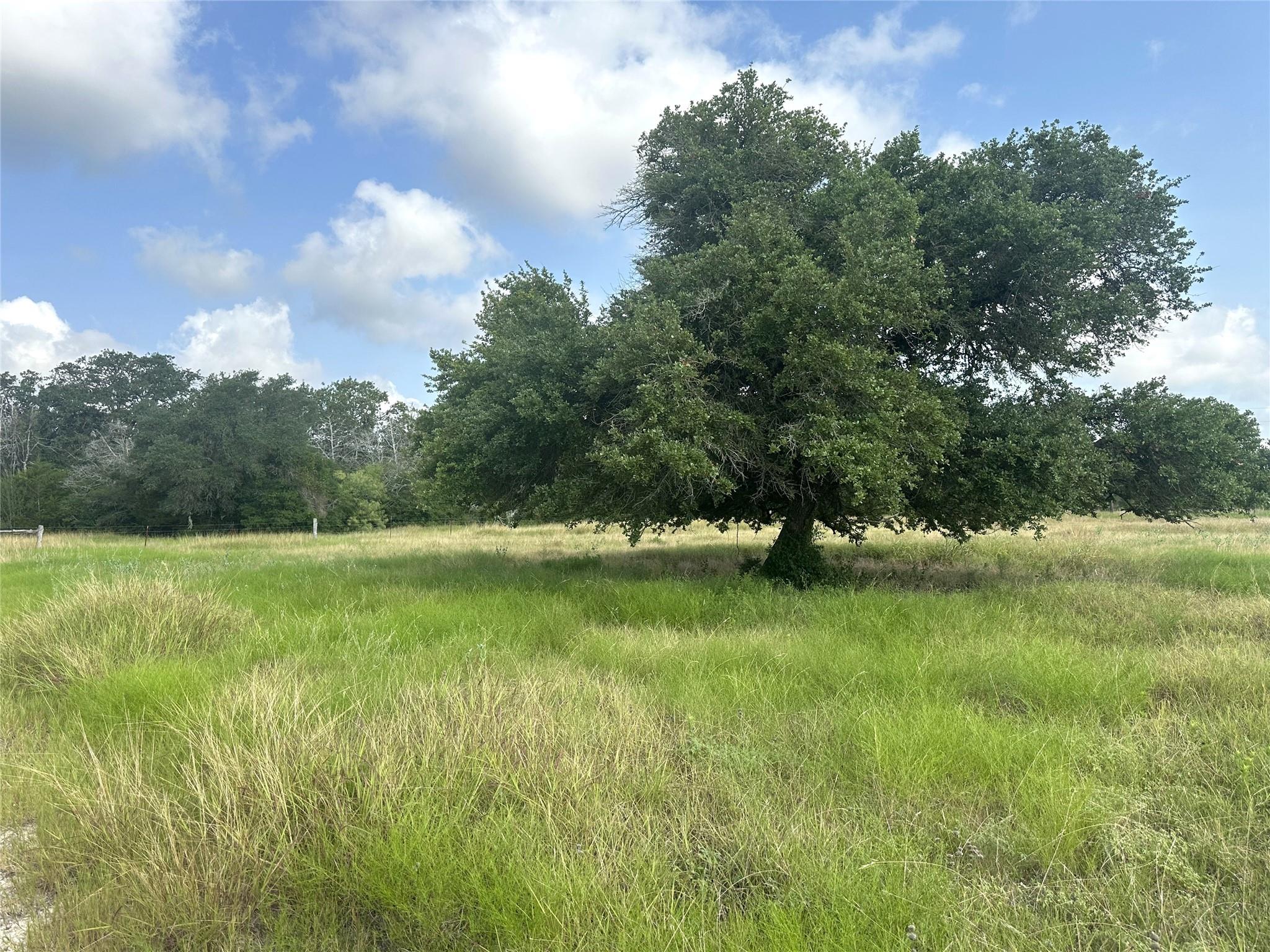 8345 Farm To Market Road 2145 La Grange TX 78945