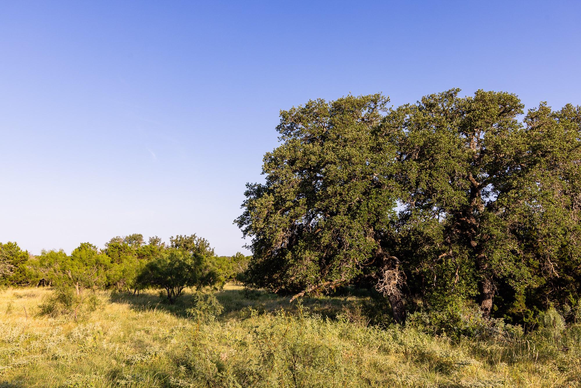 327 Antelope Trail Eldorado TX 76936