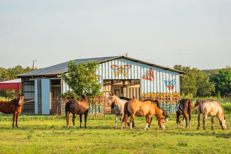 2055 Cr 284 Liberty Hill TX 78642