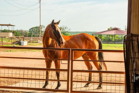 2055 Cr 284 Liberty Hill TX 78642