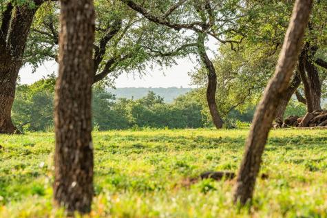 2055 Cr 284 Liberty Hill TX 78642