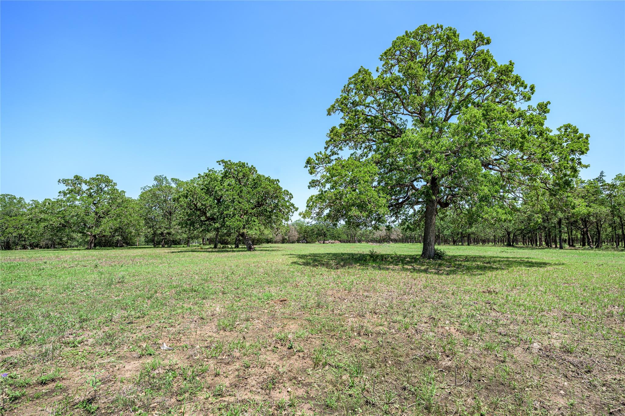 4638 Red Hollow Lane Smithville TX 78957